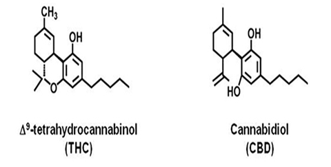 Map of Guatamala and Belize