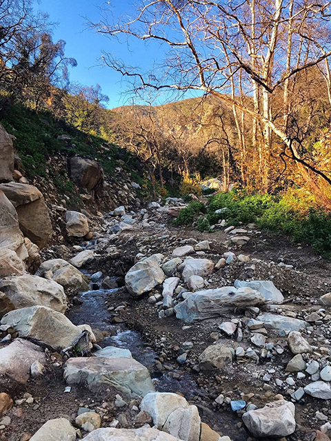 Hot Springs Canyon Trail