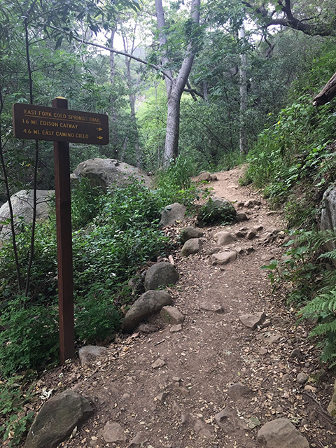 Cold Springs Trail with sign