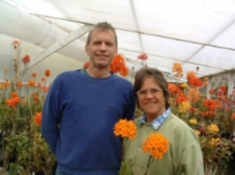 James and Lauris Rose